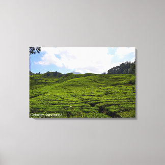 Teeplantagen-Landschaftsfotografie Indonesien Leinwanddruck