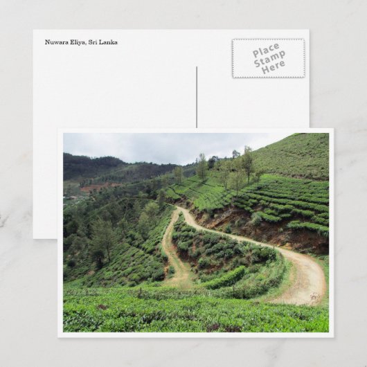 Teeplantagen Postkarte (Vorne/Hinten)