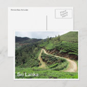 Teeplantagen Sri Lanka Postkarte (Vorne/Hinten)