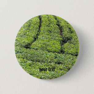 Teeplantagen von Munnar am  Button