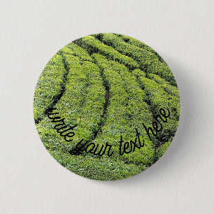 Teeplantagen von Munnar am  Button