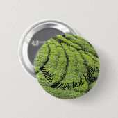 Teeplantagen von Munnar am Button (Vorne & Hinten)