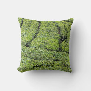 Teeplantagen von Munnar am Kissen