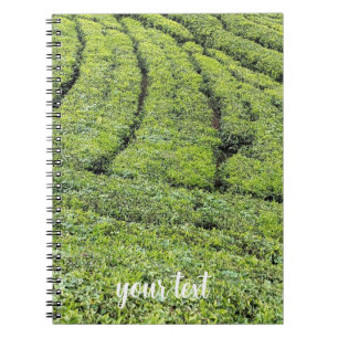 Teeplantagen von Munnar am Notizblock