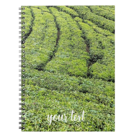 Teeplantagen von Munnar am Notizblock (Vorderseite)
