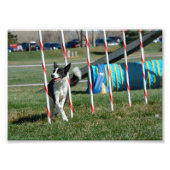 TeeVee Fotodruck (Vorne)