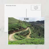 Teewege Sri lanka Postkarte (Vorne/Hinten)