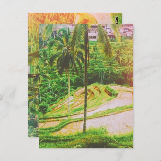 Tegalalang Rice Terrace - Bali - Indonesien Postkarte (Vorne/Hinten)