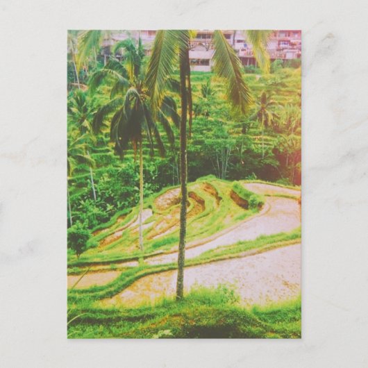 Tegalalang Rice Terrace - Bali - Indonesien Postkarte (Vorderseite)