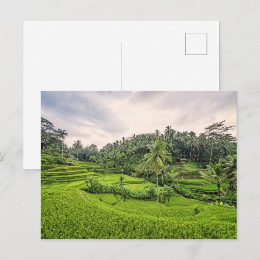 Tegallalang Postkarte (Vorne/Hinten)