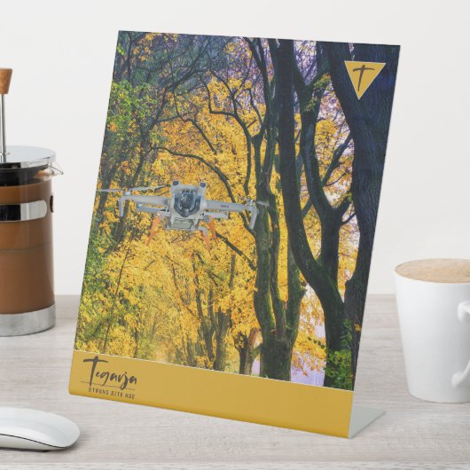 TEGARJA SOCKELSCHILD (In Situ)