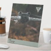 TEGARJA SOCKELSCHILD (In Situ)