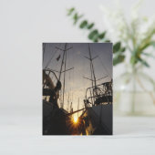 Tegenlicht bij 2 zeilboten in de haven. postkarte (Stehend Vorderseite)