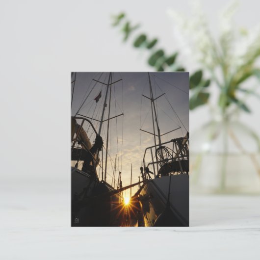 Tegenlicht bij 2 zeilboten in de haven. postkarte (Stehend Vorderseite)