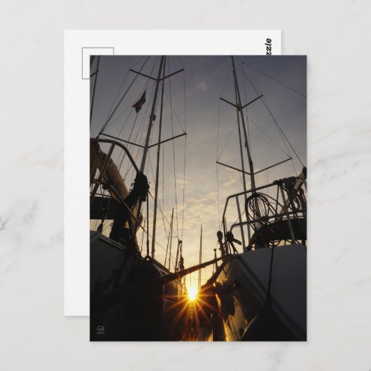 Tegenlicht bij 2 zeilboten in de haven. postkarte (Vorne/Hinten)