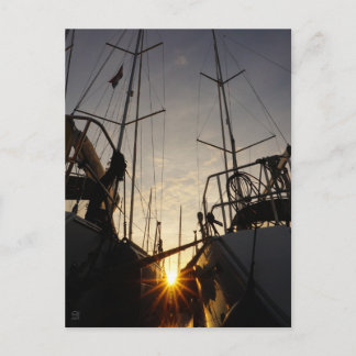 Tegenlicht bij 2 zeilboten in de haven. postkarte