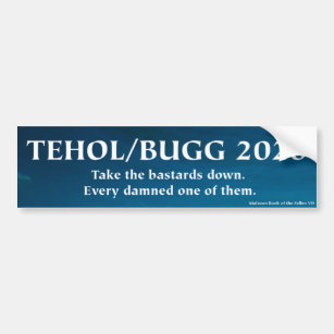 Tehol/Bugg 2020 - Nehmen Sie die bastard herunter Autoaufkleber