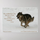 Tehya bei Freedom Wolflection Poster (Vorne)