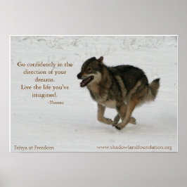 Tehya bei Freedom Wolflection Poster