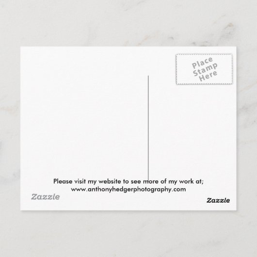 Tehya - Siberischer Husky Postkarte (Rückseite)