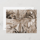 Teich bei Ananas Plantation Postkarte (Vorne/Hinten)