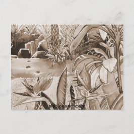 Teich bei Ananas Plantation Postkarte