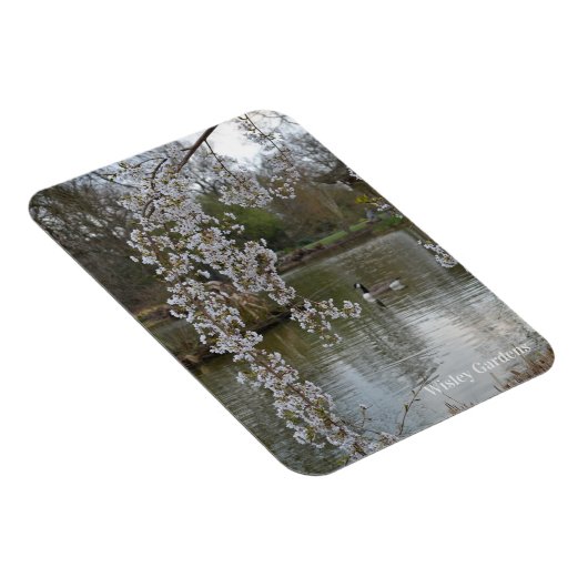 Teich bei RHS Wisley, England Magnet (Rechte Seite)