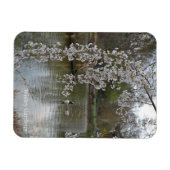 Teich bei RHS Wisley, England Magnet (Horizontal)