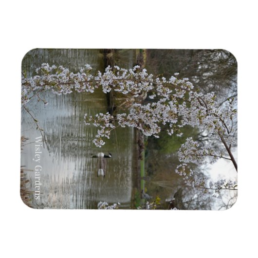 Teich bei RHS Wisley, England Magnet (Horizontal)