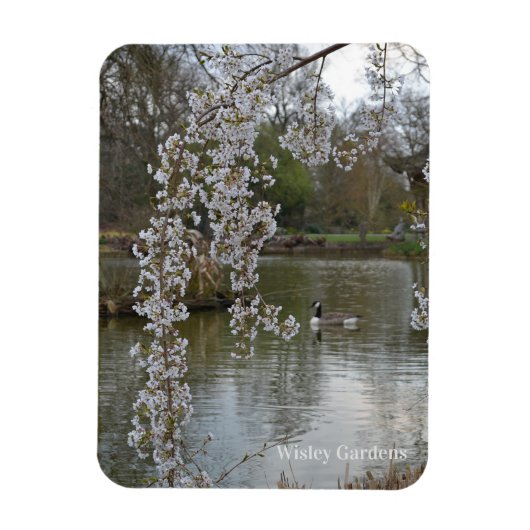 Teich bei RHS Wisley, England Magnet (Vertikal)