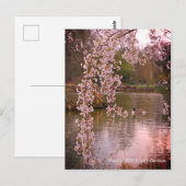 Teich bei RHS Wisley, England Postkarte (Vorne/Hinten)