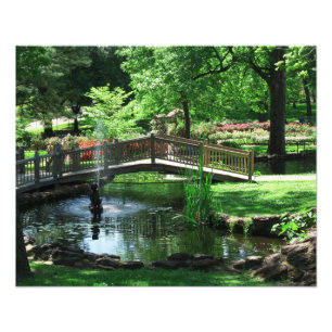 Teich-Brücken-Foto Fotodruck