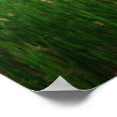 Teich flauschiger Schwänze Ortoneneffekt Art Poster (Ecke)