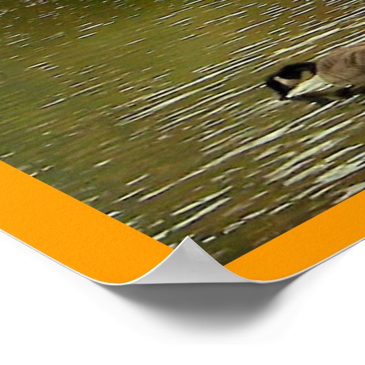 Teich in Sapsucker Woods Poster (Ecke)