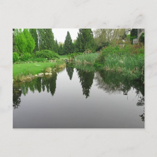Teich in Vancouver, BC Postcard Postkarte (Vorderseite)