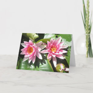 Teich-Lilien Notecard Karte