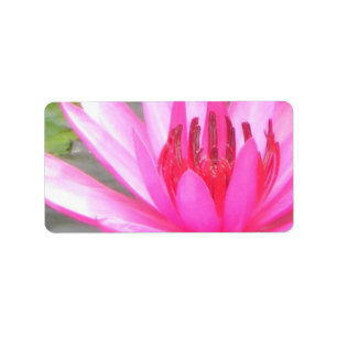 Teich-Lotus-Ruhe Namaste Leeradresse Adressaufkleber