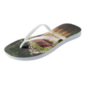 Teich mit Entenhaus und Alpenrutsche Badesandalen (Schrägansicht)