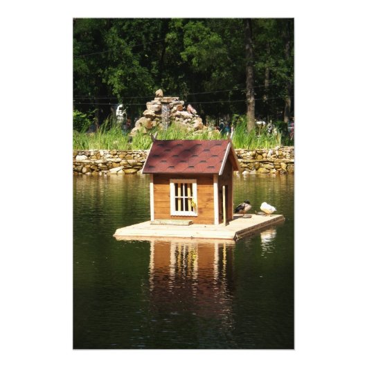 Teich mit Vogelhaus Fotodruck (Vorne)