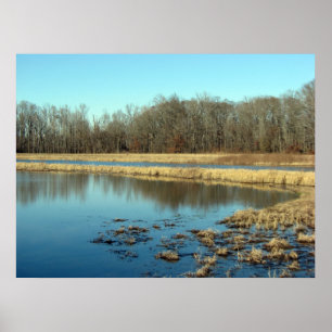 Teich Poster