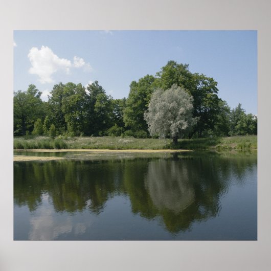 Teich Poster (Vorne)