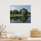 Teich Poster (Küche)