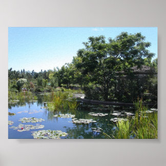 Teich Poster