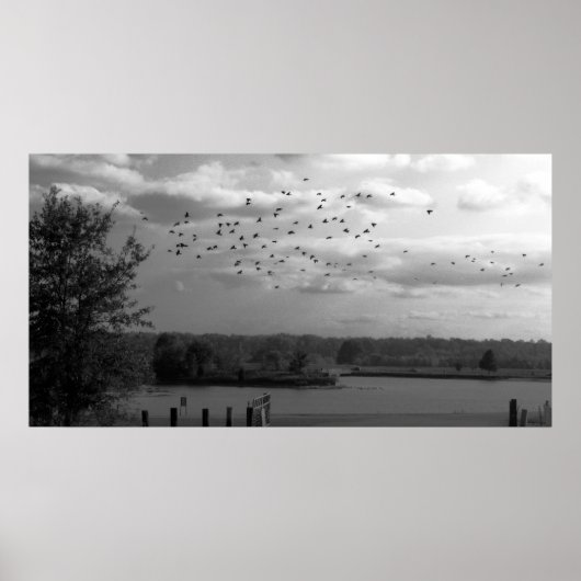 Teich Poster (Vorne)