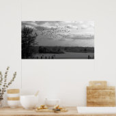 Teich Poster (Küche)