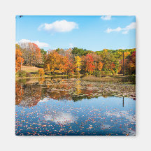 Teich umgeben von farbenprächtigen Laubbäumen
