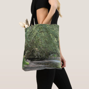 Teich unter den toten Bäumen Tasche
