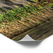 Teichanlage in der Sumpflandschaft Poster (Ecke)