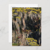 Teichanlage in der Sumpflandschaft Postkarte (Vorne/Hinten)