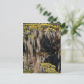 Teichanlage in der Sumpflandschaft Postkarte (Stehend Vorderseite)